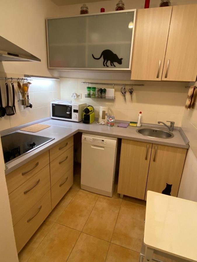Apartments Piknik タトランスカ・ ロムニツァ エクステリア 写真