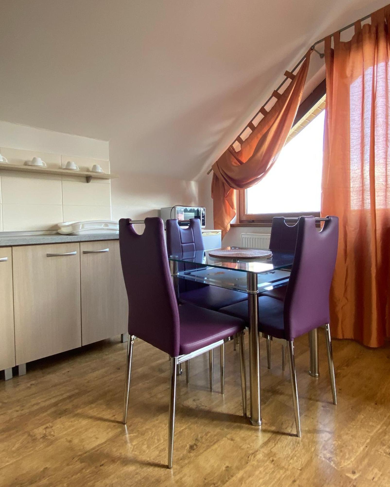 Apartments Piknik タトランスカ・ ロムニツァ 部屋 写真